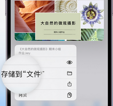 南浔apple维修中心分享iPhone文件应用中存储和找到下载文件