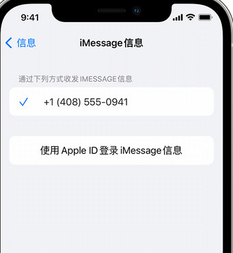 南浔apple维修iPhone上无法正常发送iMessage信息 