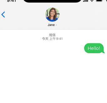 南浔apple维修iPhone上无法正常发送iMessage信息