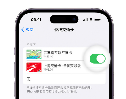 南浔apple维修点分享iPhone上更换Apple Pay快捷交通卡手绘卡面 