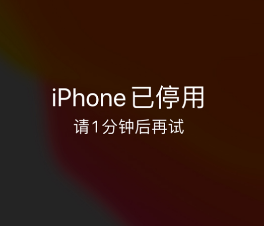 南浔苹果手机维修分享:iPhone 显示“不可用”或“已停用”怎么办？还能保留数据吗？ 