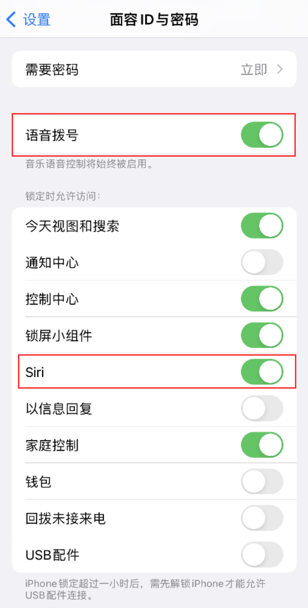 南浔苹果维修网点分享不解锁 iPhone 的情况下通过 Siri 拨打电话的方法 