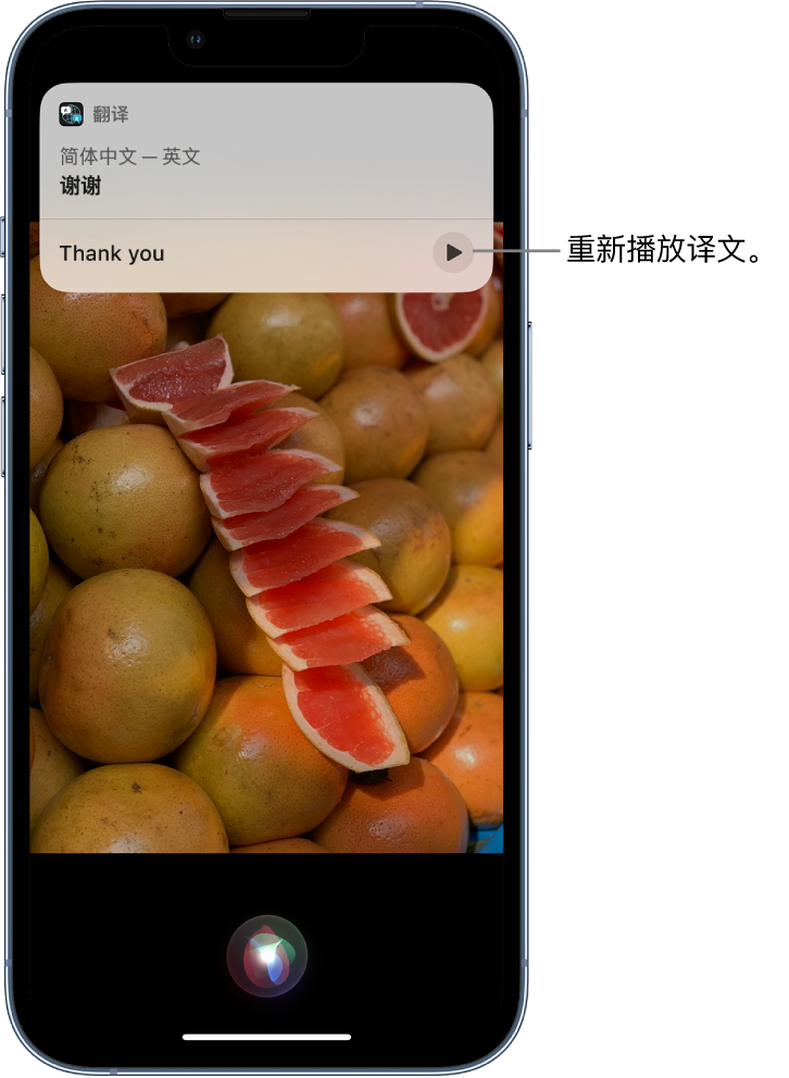 南浔苹果14维修分享 iPhone 14 机型中使用 Siri：了解 Siri 能帮你做什么 