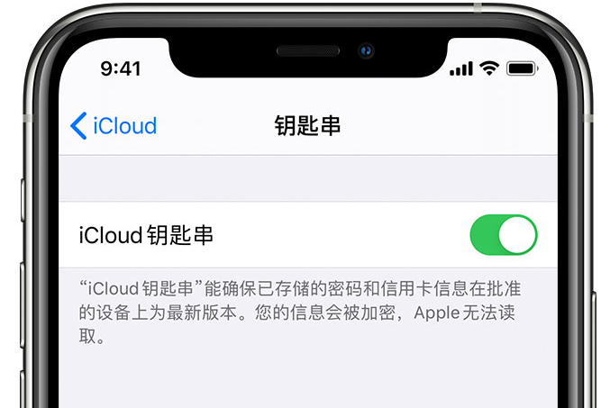 南浔苹果手机维修分享在 iPhone 上开启 iCloud 钥匙串之后会储存哪些信息 