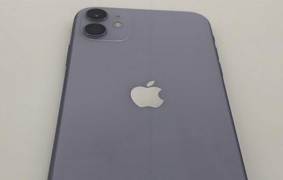 南浔苹果11系统维修分享iPhone11手机系统崩溃无法开机如何解决